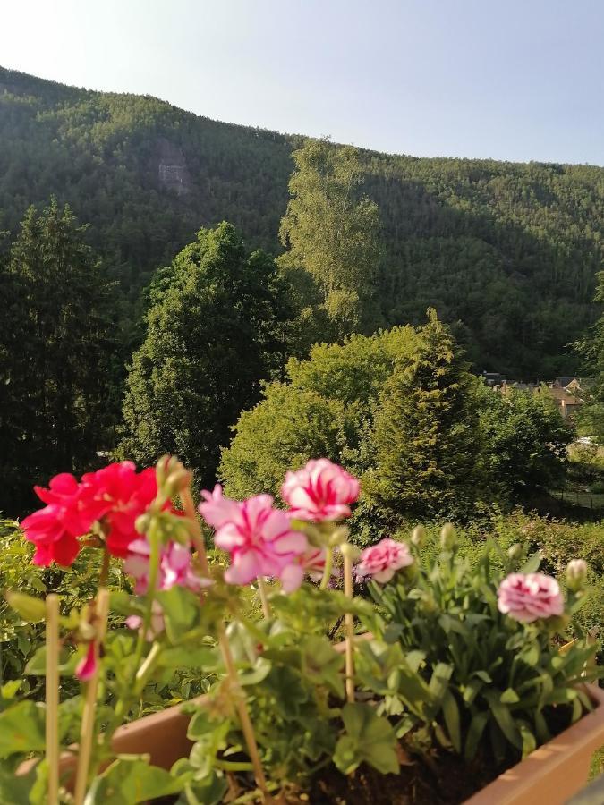 Chez Many, Par Fred Et Henri Bed & Breakfast Montherme Exterior photo